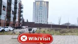 荷兰实地探访外汇交易商IBS Asset 不存在真实展业场所