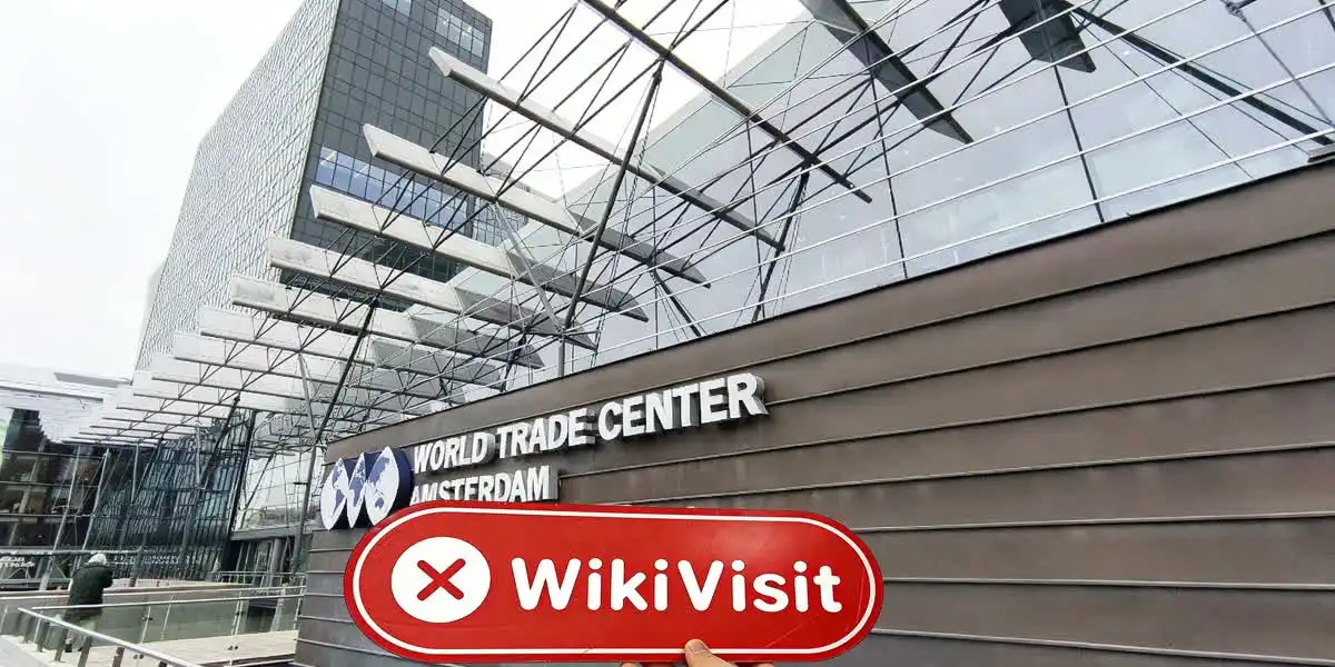 Monex Europe Netherlands  Napatunayan:  Walang Nakitang Pisikal na Presensya