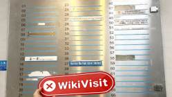 Mtdfx Hong Kong Verificato: Nessuna Presenza Fisica Rilevata