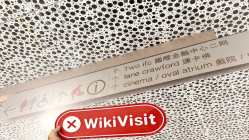 中国香港实地探访外汇交易商WINGKAN 不存在真实展业场所