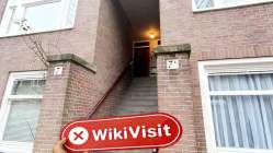 ArubaFX Países Baixos Verificado: Nenhuma Presença Física Encontrada