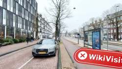 Primarkets Netherlands  Verified:  No Physical Presence Found