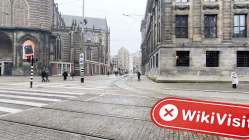 荷兰实地探访外汇交易商Trade with ease fx 不存在真实展业场所