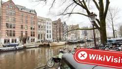 荷兰实地探访外汇交易商Cross Energy Trading 不存在真实展业场所