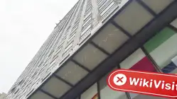 EARNEX 香港 驗證：未發現實體存在