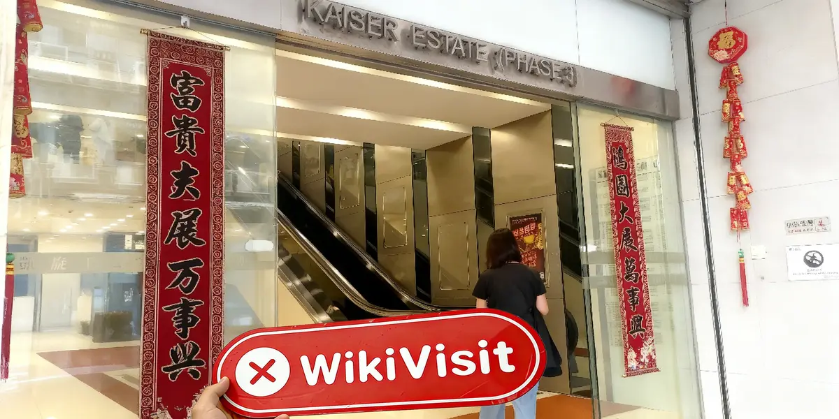 WANJIN Hong Kong  Verified:  No Physical Presence Found