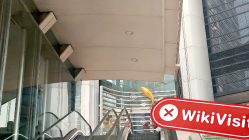 Yangohk Гонконг  Проверка:  Физическое присутствие не обнаружено