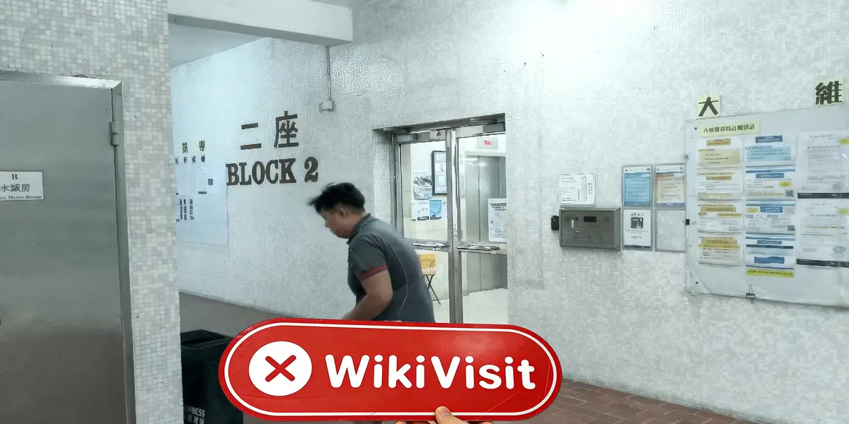 MGFALCONER Hồng Kông  Đã xác minh:  Không tìm thấy sự hiện diện thực tế