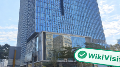 中国香港实地探访外汇交易商 WCG 存在真实展业场所