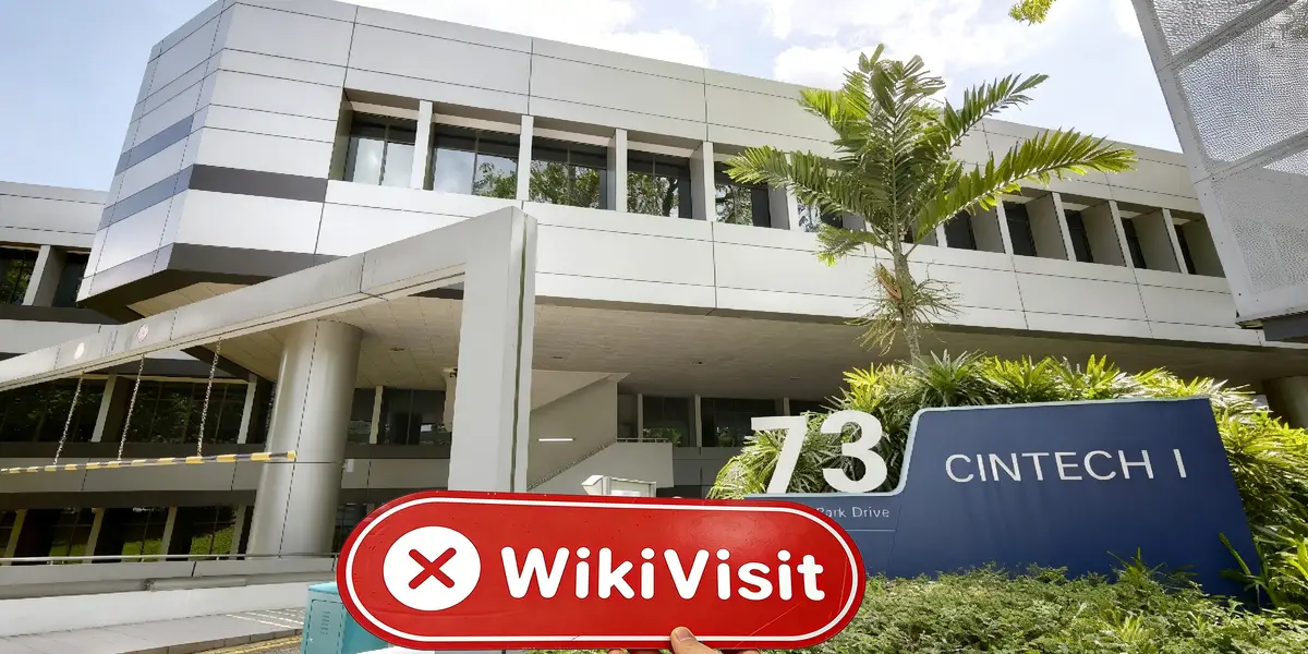 KCMenkul Singapore  Đã xác minh:  Không tìm thấy sự hiện diện thực tế
