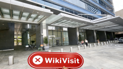 PLEXUS CAPITAL Singapur  Verifiziert:  Keine physische Präsenz festgestellt