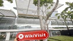 WEALTH TRADING FX Singapore  Verified:  No Physical Presence Found