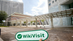 STARX CAPITAL MARKETS 新加坡  已驗證：營運辦公室已確認